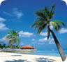 Caribbean